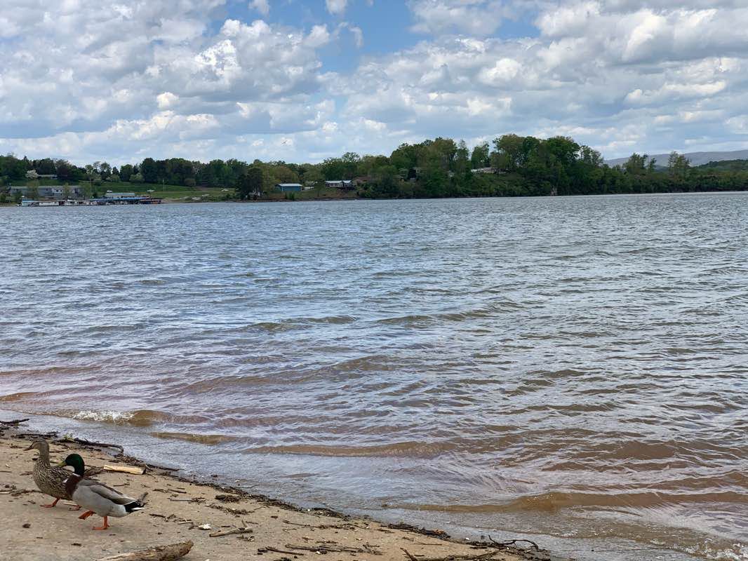 walking near me in Cherokee Park in winter
