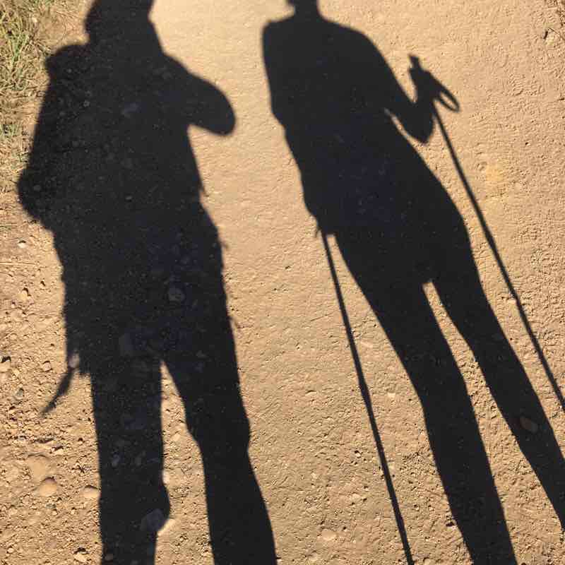 Portomarin> Palas de Rei walking route map in Pedrouzos