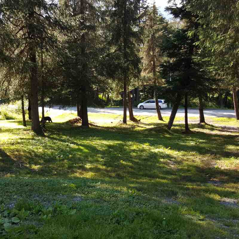 Heather Ridge Walk Trail Aurora, Colorado, USA Pacer