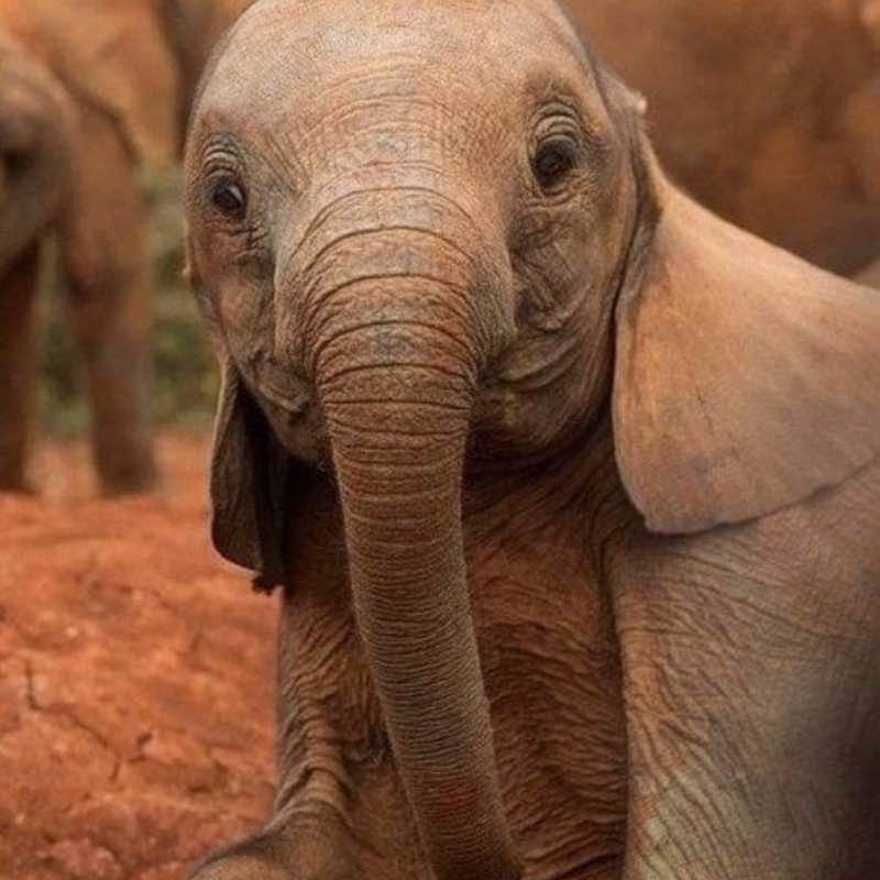 Parking lot walk in Fortmac