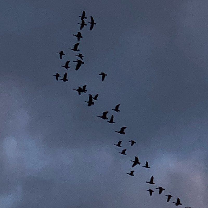 Fortmac walk around the collage   walking route map in Fort McMurray