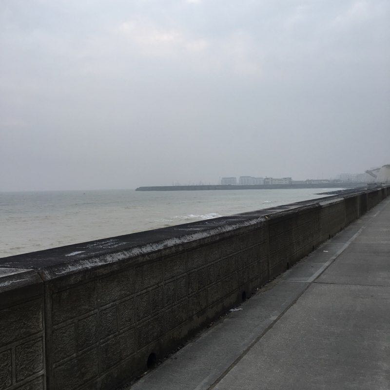 Under/Overcliff Walk walking route map in Saltdean