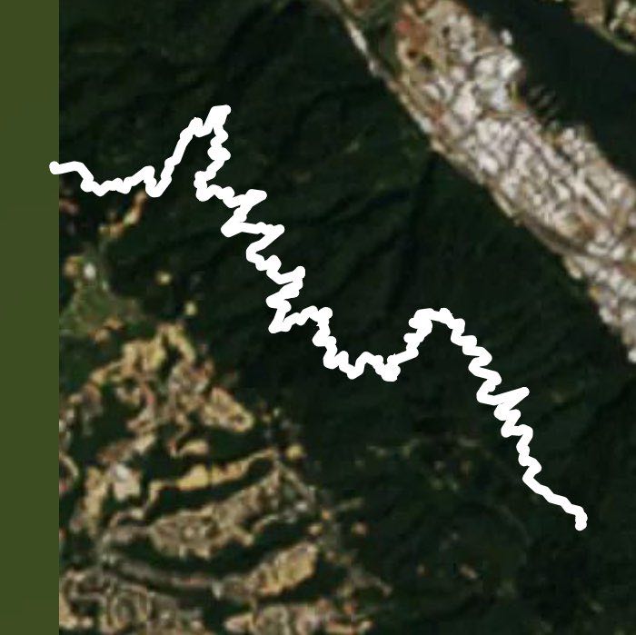 Forest Park, Portland