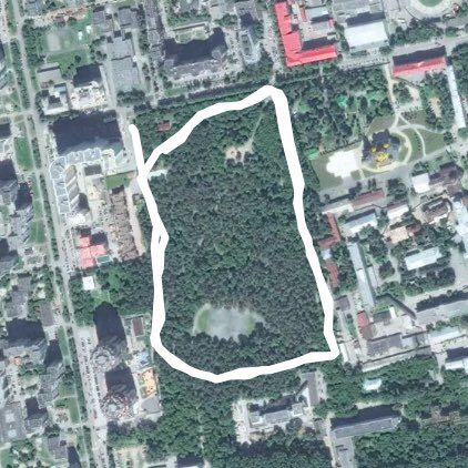 зеленая роща