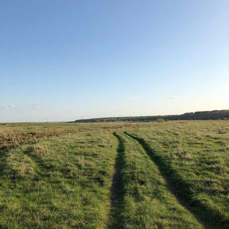 Descent from the mountain 🏔 walking route map in Temnikov