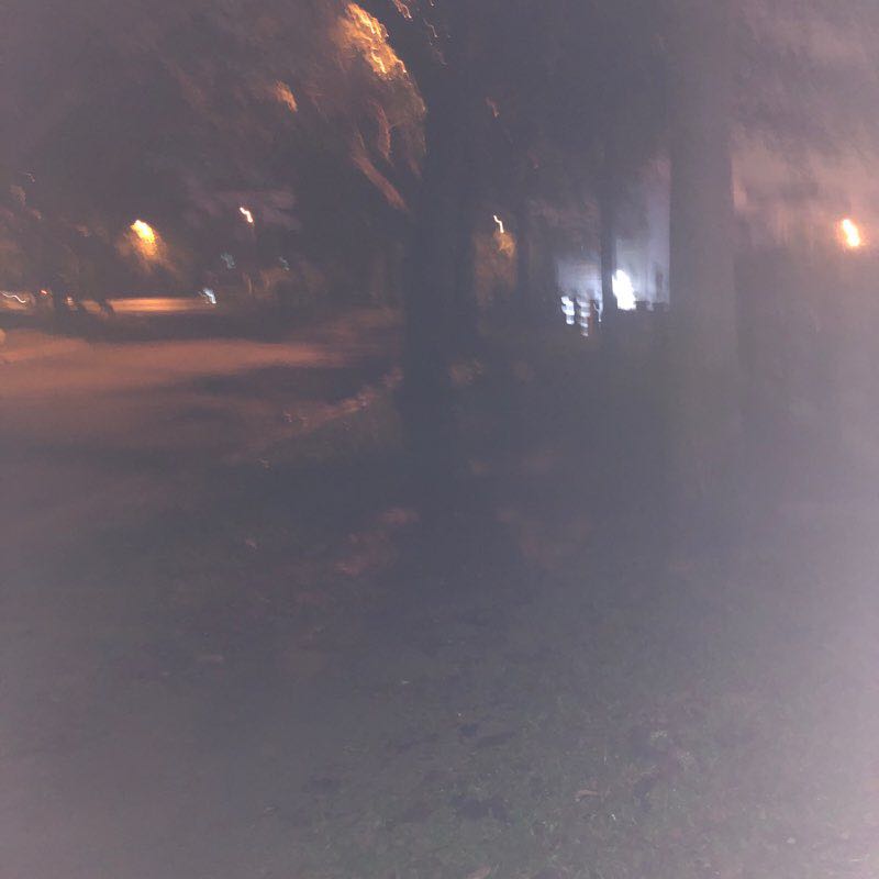 USJ Heights Walking Trail