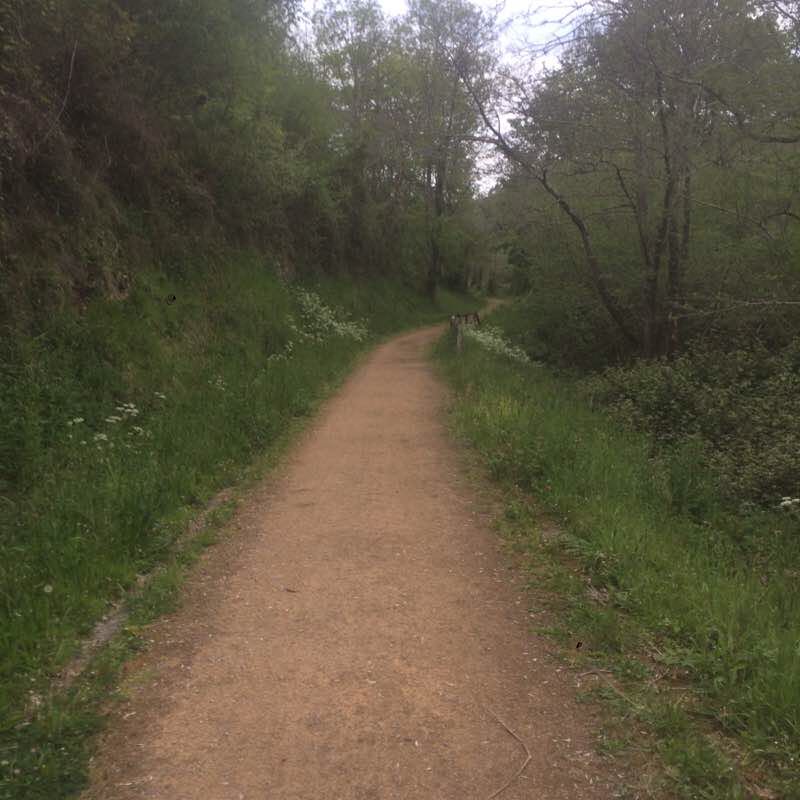The path of Cabranes walking route map in La Llavona