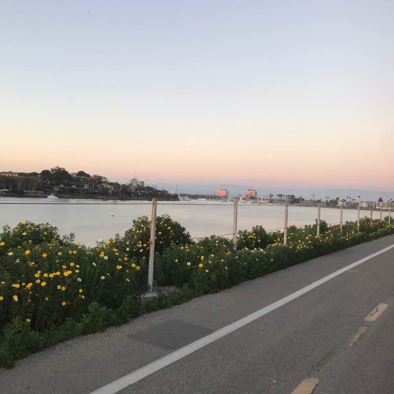 Ballona Wetlands bike /pedestrian only trail 