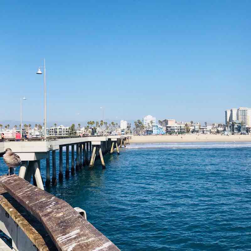 Venice Pier