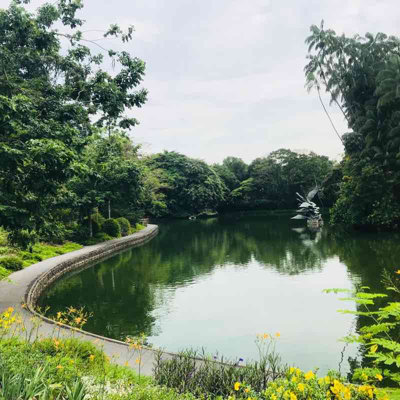 Botanical gardens- orchids . And Chinatown