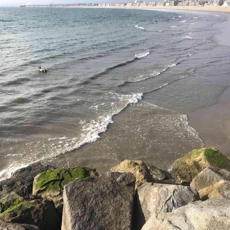 Marina Del Rey peninsula 