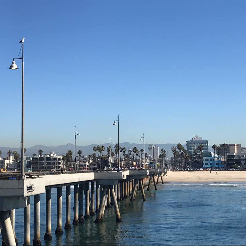 Venice Beach Strand Stroll