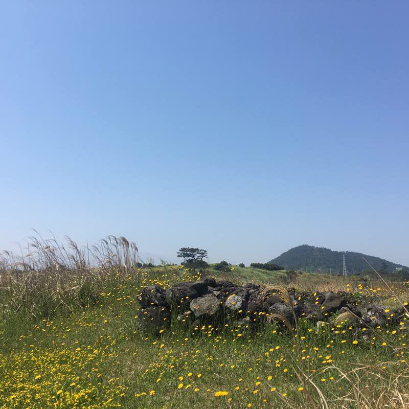 올레 18