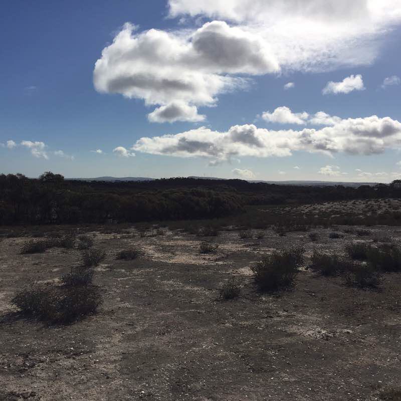 Eucy Track 1 walking route map in Saint Arnaud