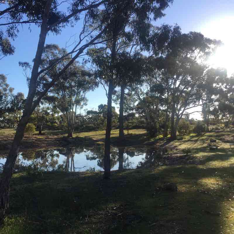 Nelson - Charlton Roads walking route map in Saint Arnaud