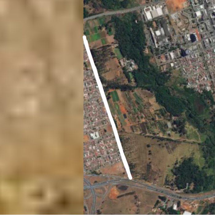 Eucalyptus race track Hike Brasília, Federal District, Brazil Pacer