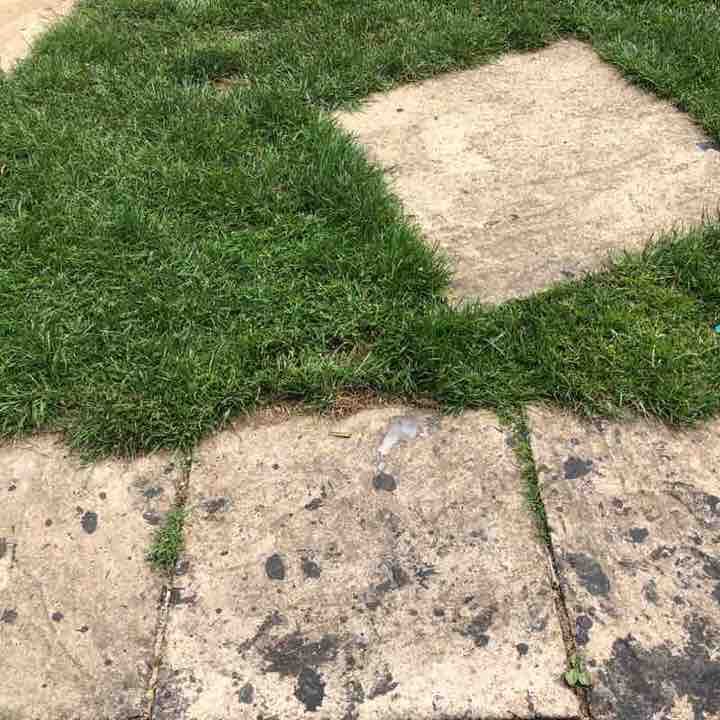 Standard Beginners Run