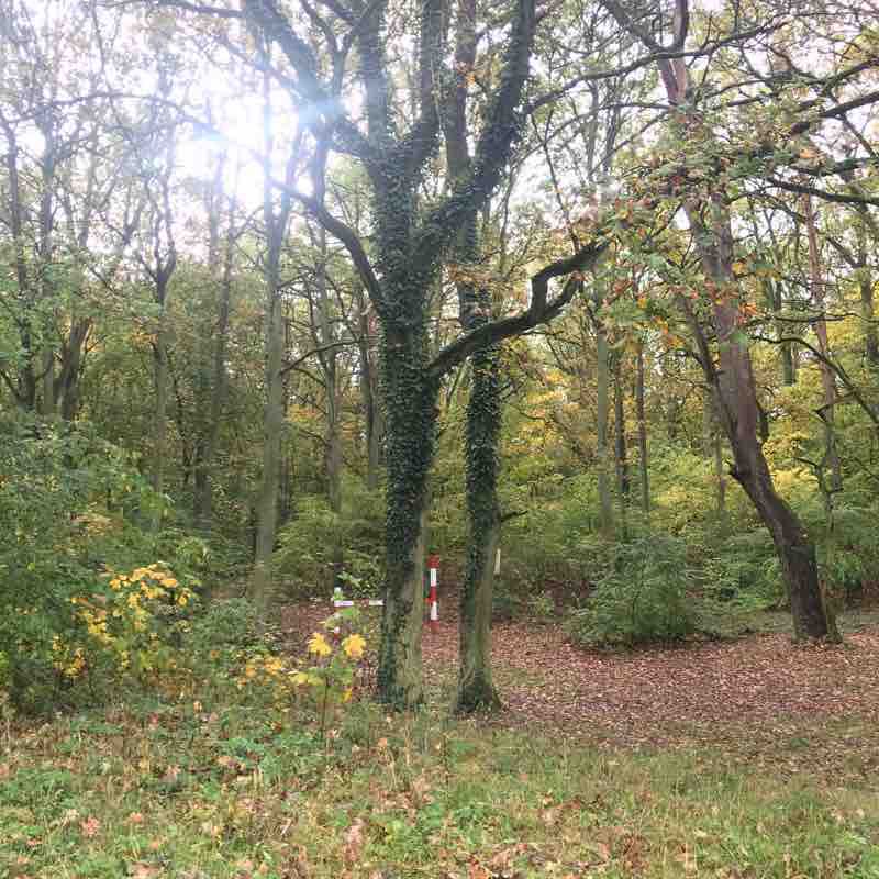 Jezioro Głębokie w Szczecinie