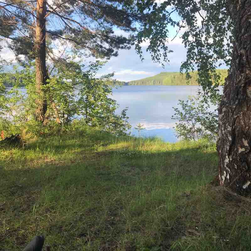 A trip to the forest walking route map in Kushva