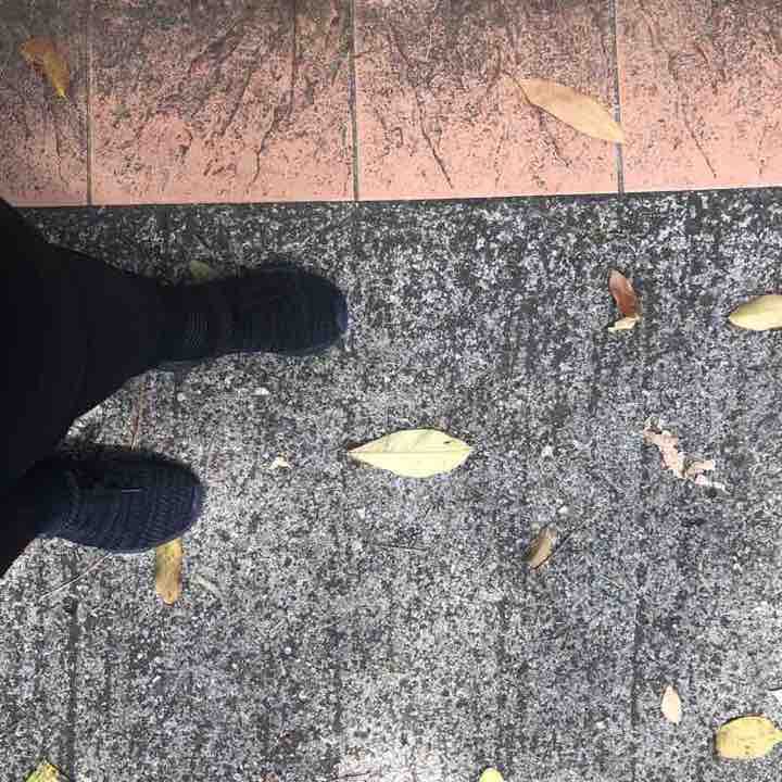 Wilderness Park walking route map in Alor Setar