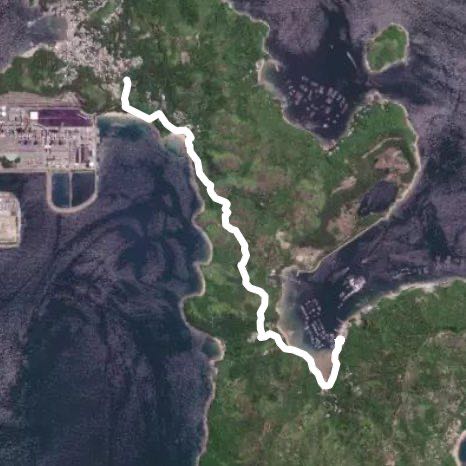 2020 年3月4日行山