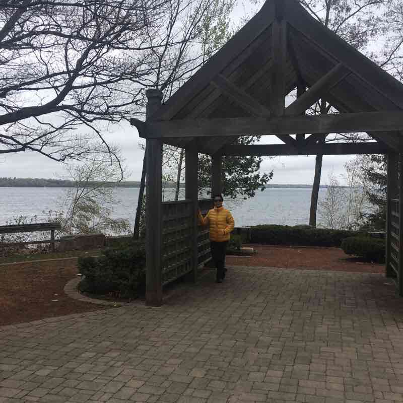 Wilkins beach