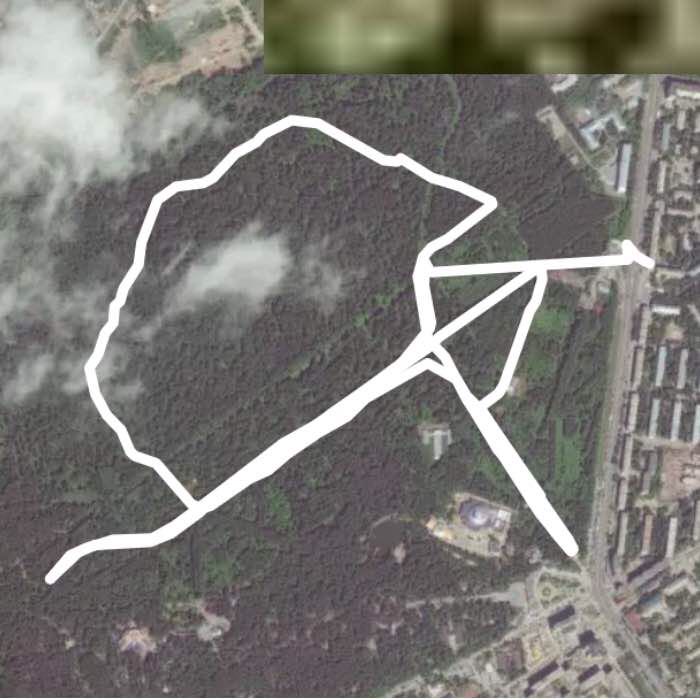 Дендропарк