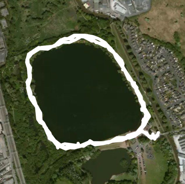 Westport Lake dog walk