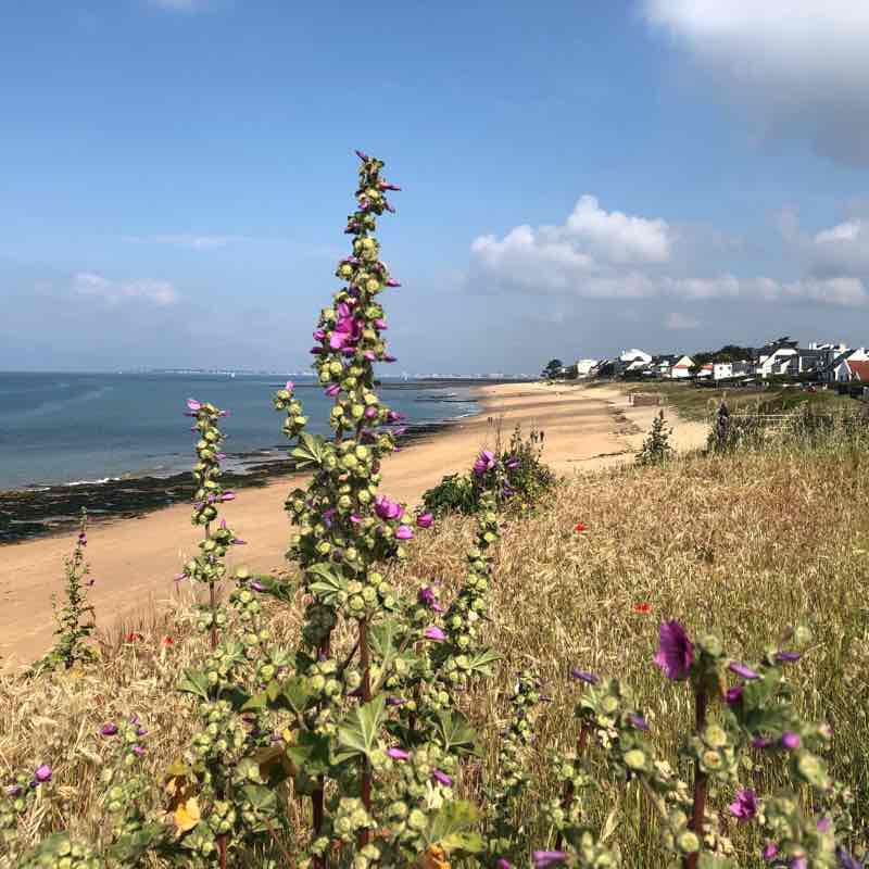 GR34 from Pornichet to StNazaire walking route map in Pornichet