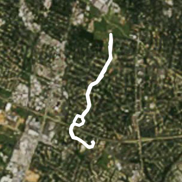 Walk to the Arboretum