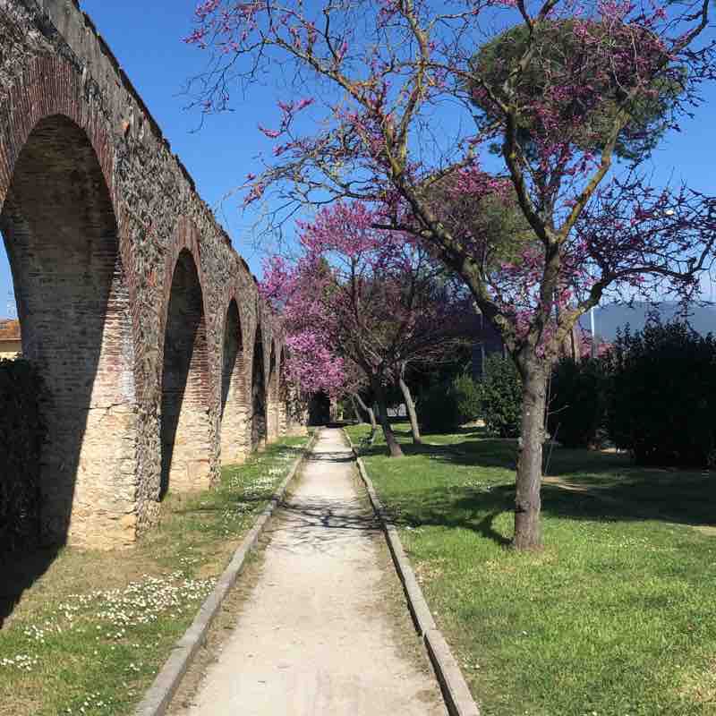 Paradiso