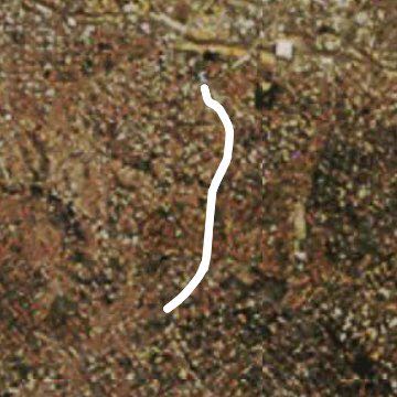 Ciclovia Avenida Sumare