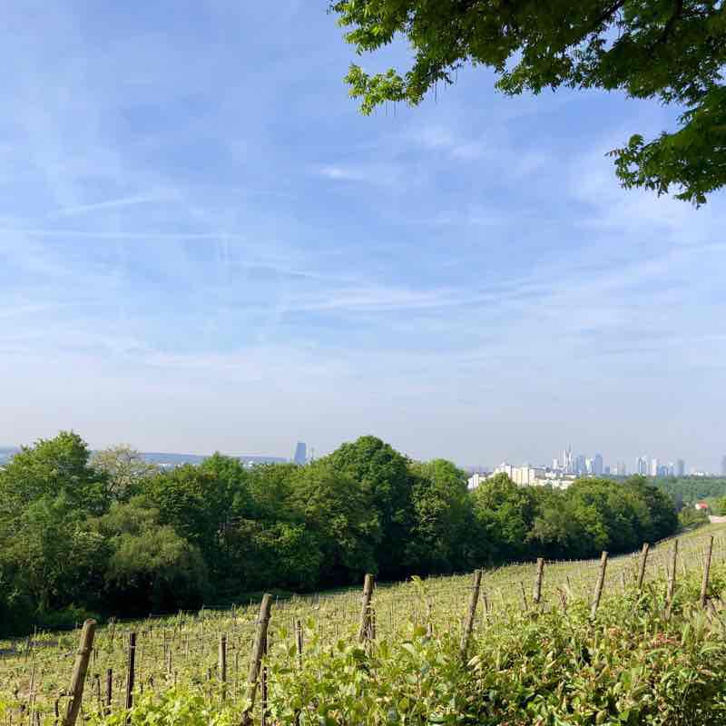 Lohrberg  walking route map in Frankfurt am Main