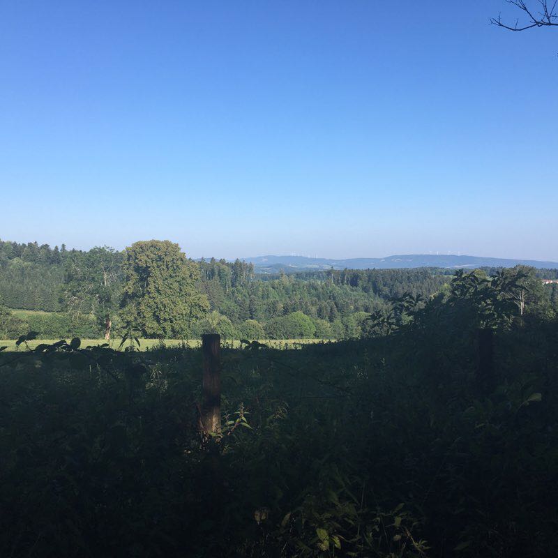 Walk on Mont Montandon walking route map in Montandon