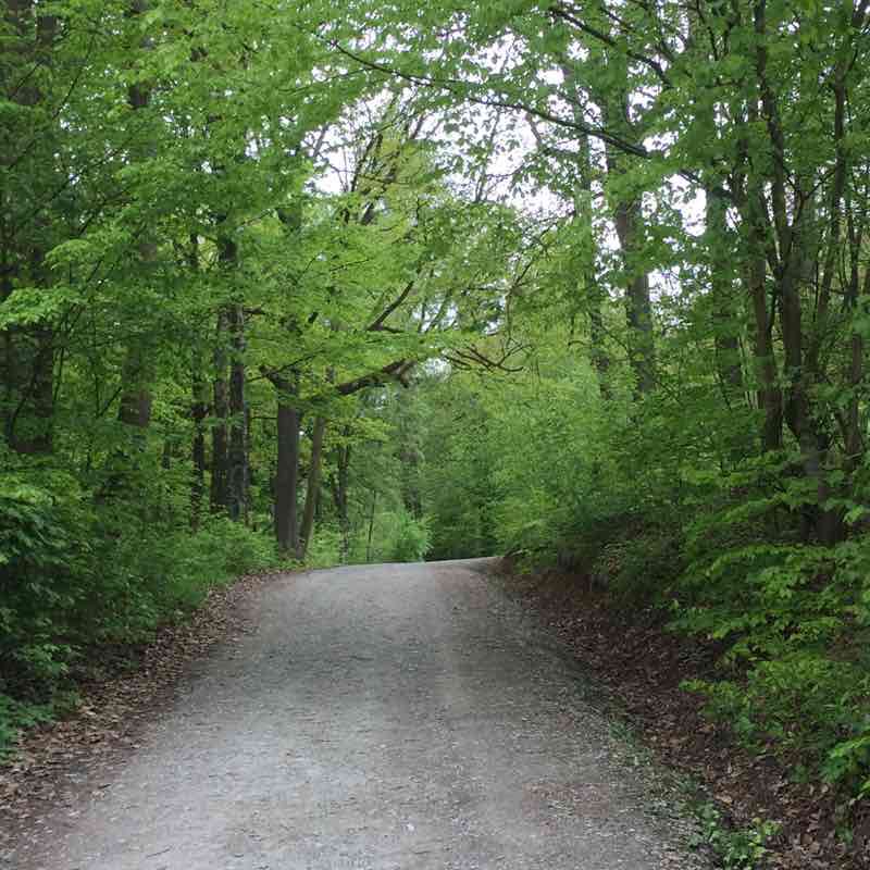 Lohland walking route map in Dipperz