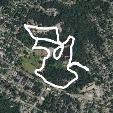 Forest Park