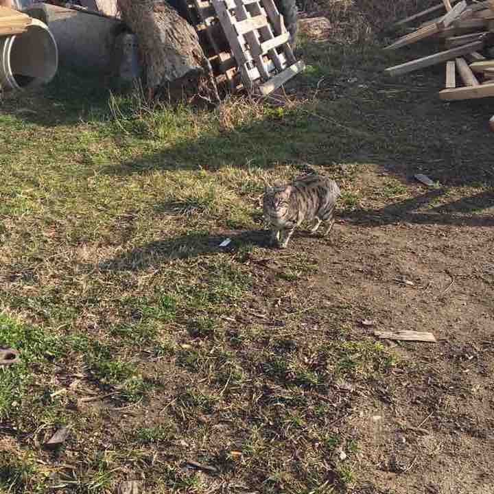 Fraz Battaglie Treviglio walking route map in Cascina Dotti
