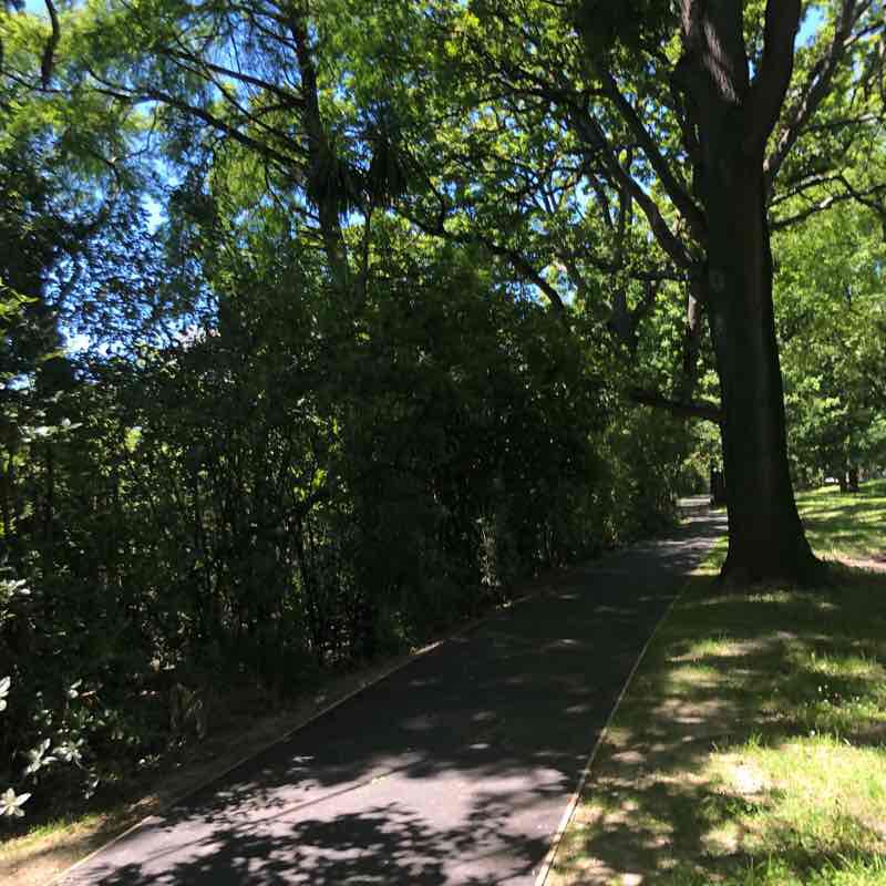 North Haglye walking route map in Christchurch