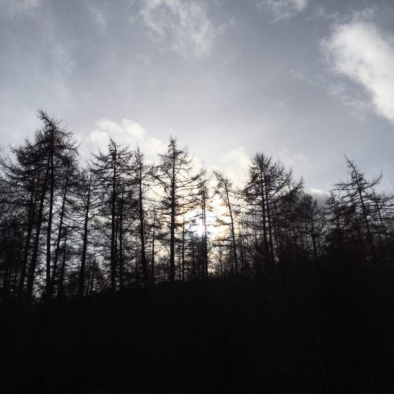 Helmsley Forest Trail walking route map in Wether Cote Fm