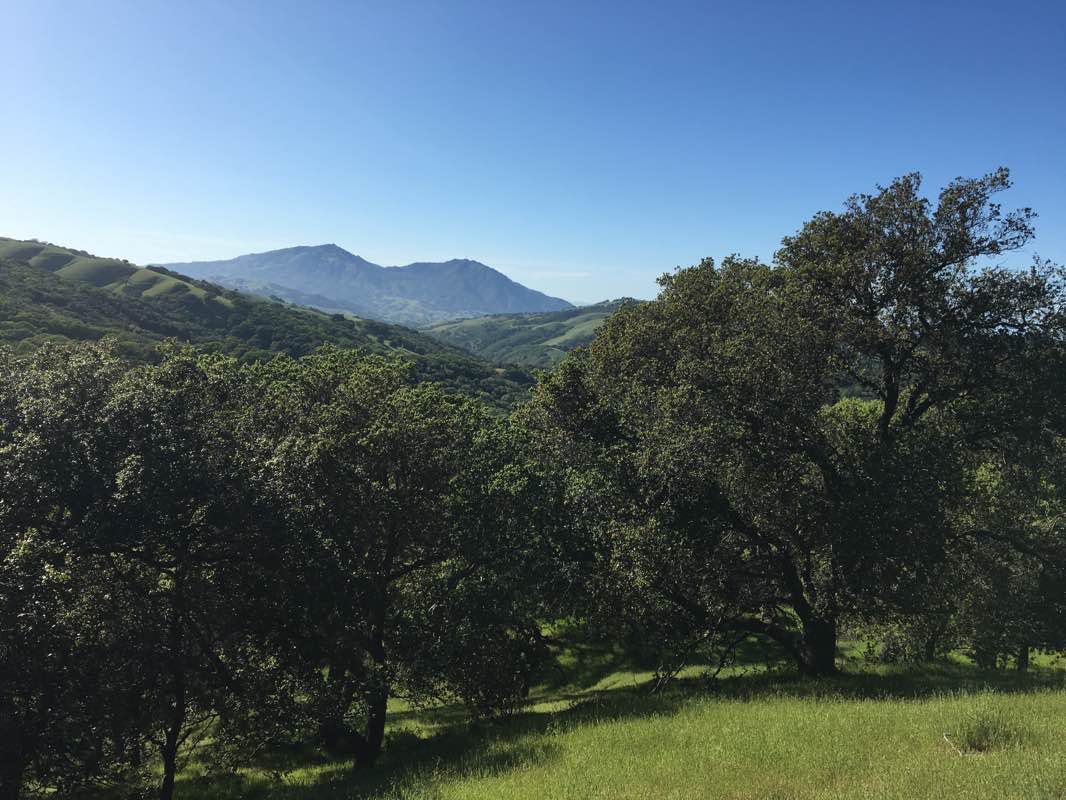 walking near me in Los Vaqueros Reservoir and Watershed in winter