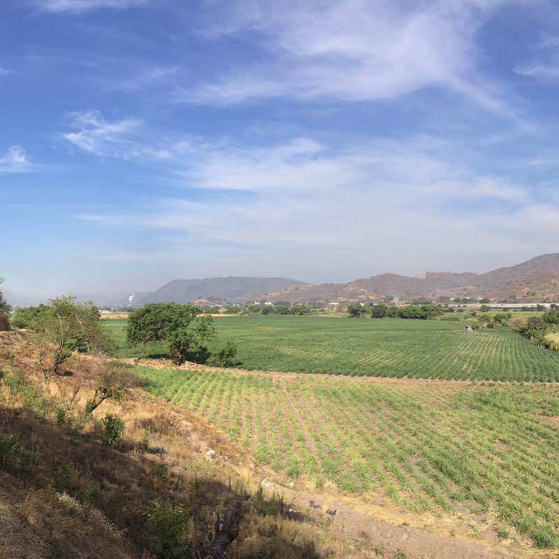 San Francisco walk circuit / Santa Rosa bridge walking route map in Tamazula de Gordiano