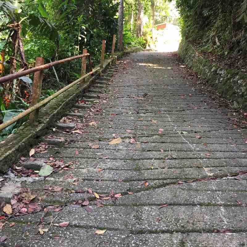 Flag Hill Hike Trail Penang, Malaysia Pacer