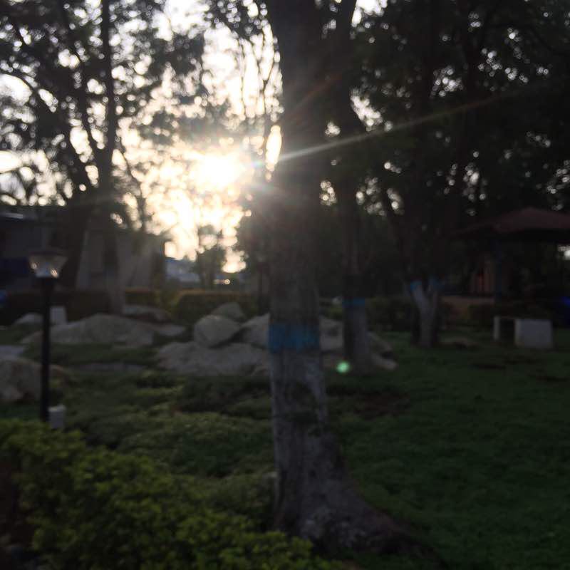 Shipping Complexes awalk