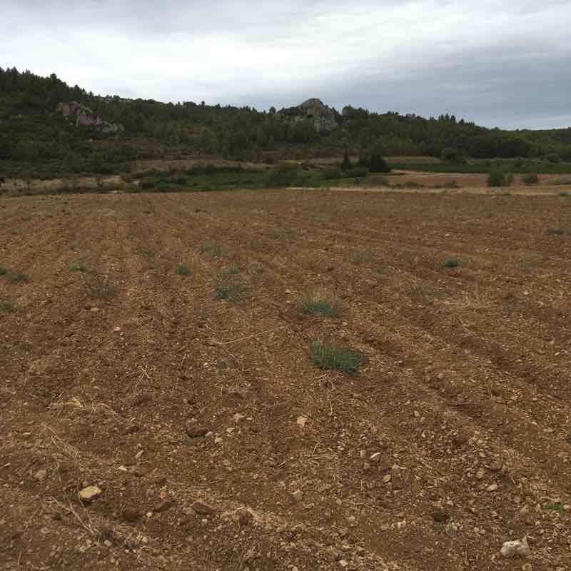 Path of the pierced rock and weather vane walking route map in Saint-Laurent-de-la-Cabrerisse