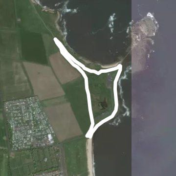 St Mary’s wildlife walk