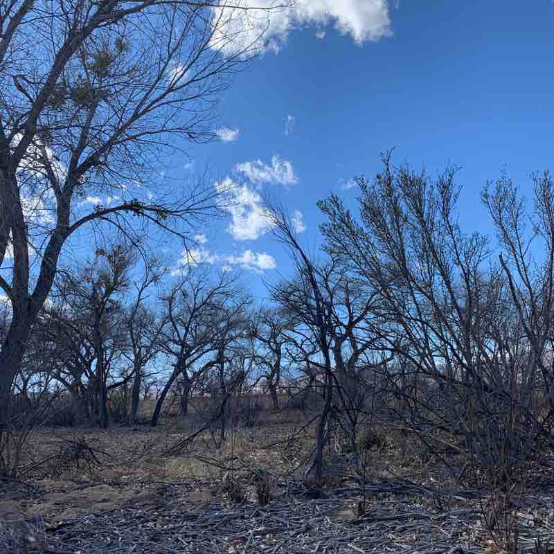 River Walk walking route map in San Antonio