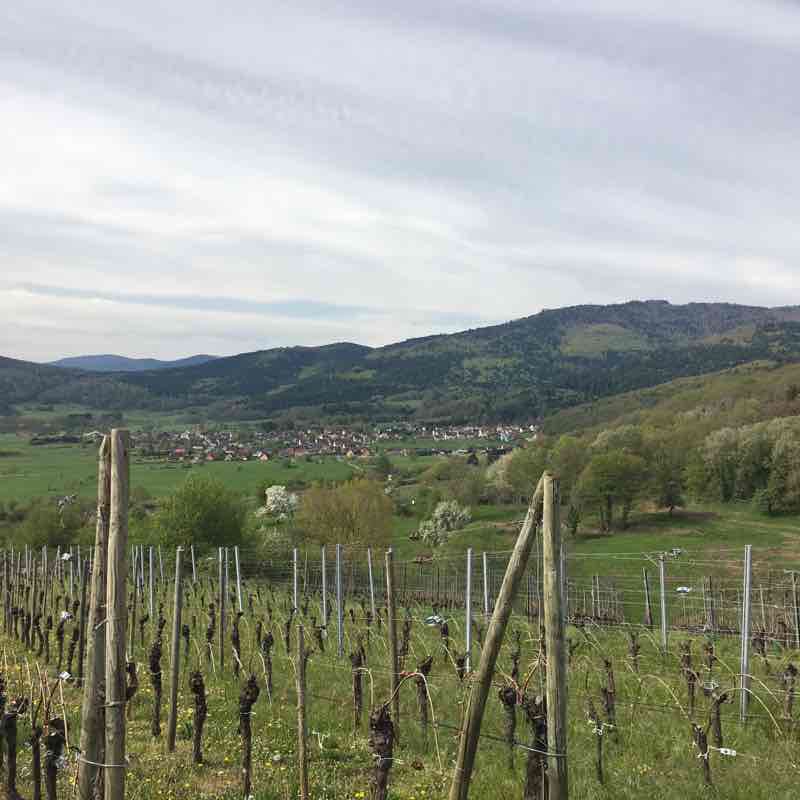 Wintzfelden walking route map in Osenbach