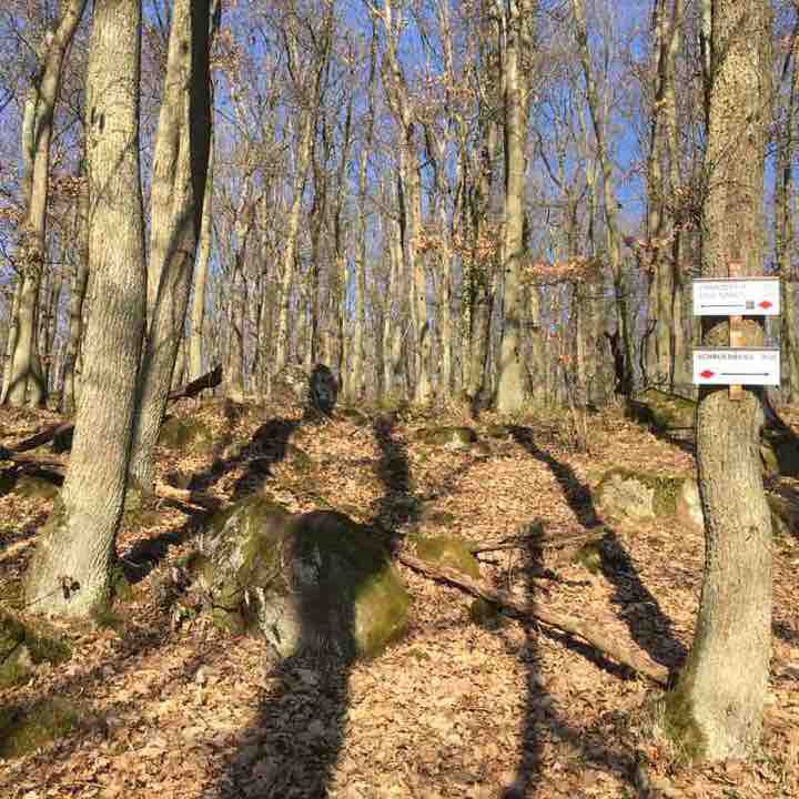 Path of mysteries walking route map in Westhalten