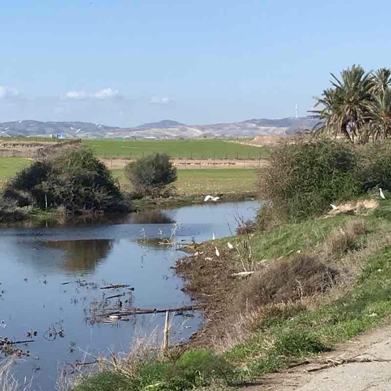 Northwest Side of Larnaca Main Salt Lake walking route map in Larnaca