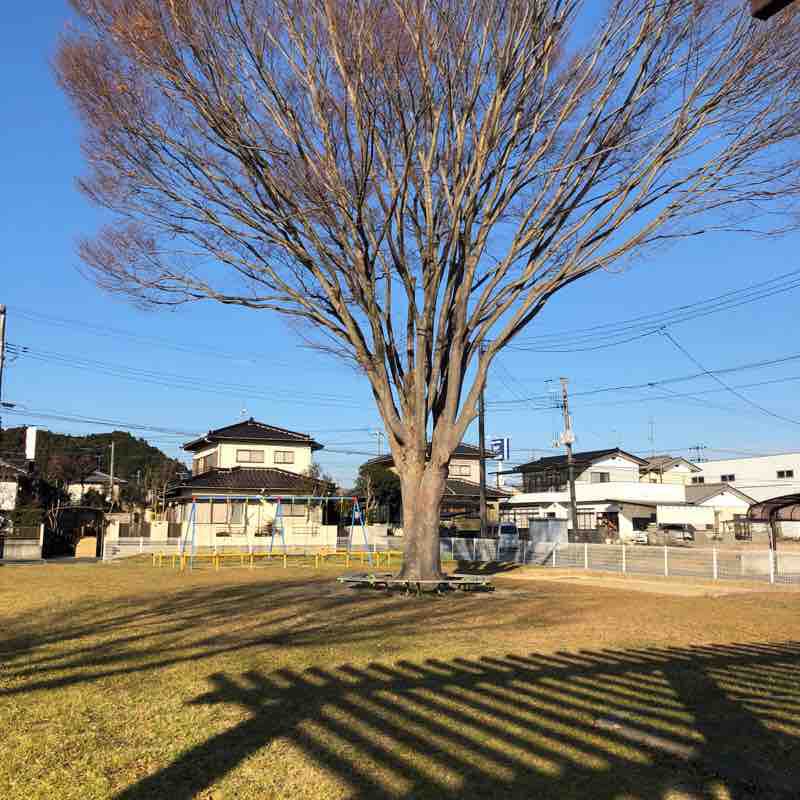 ちょい散歩🚶‍♂️